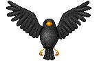 blackbird.gif (9935 bytes)