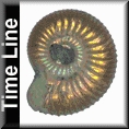 fossil.gif (7273 bytes)