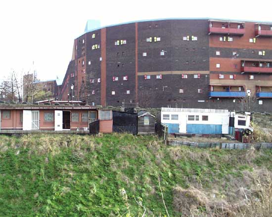 Byker Wall and pigeon crees